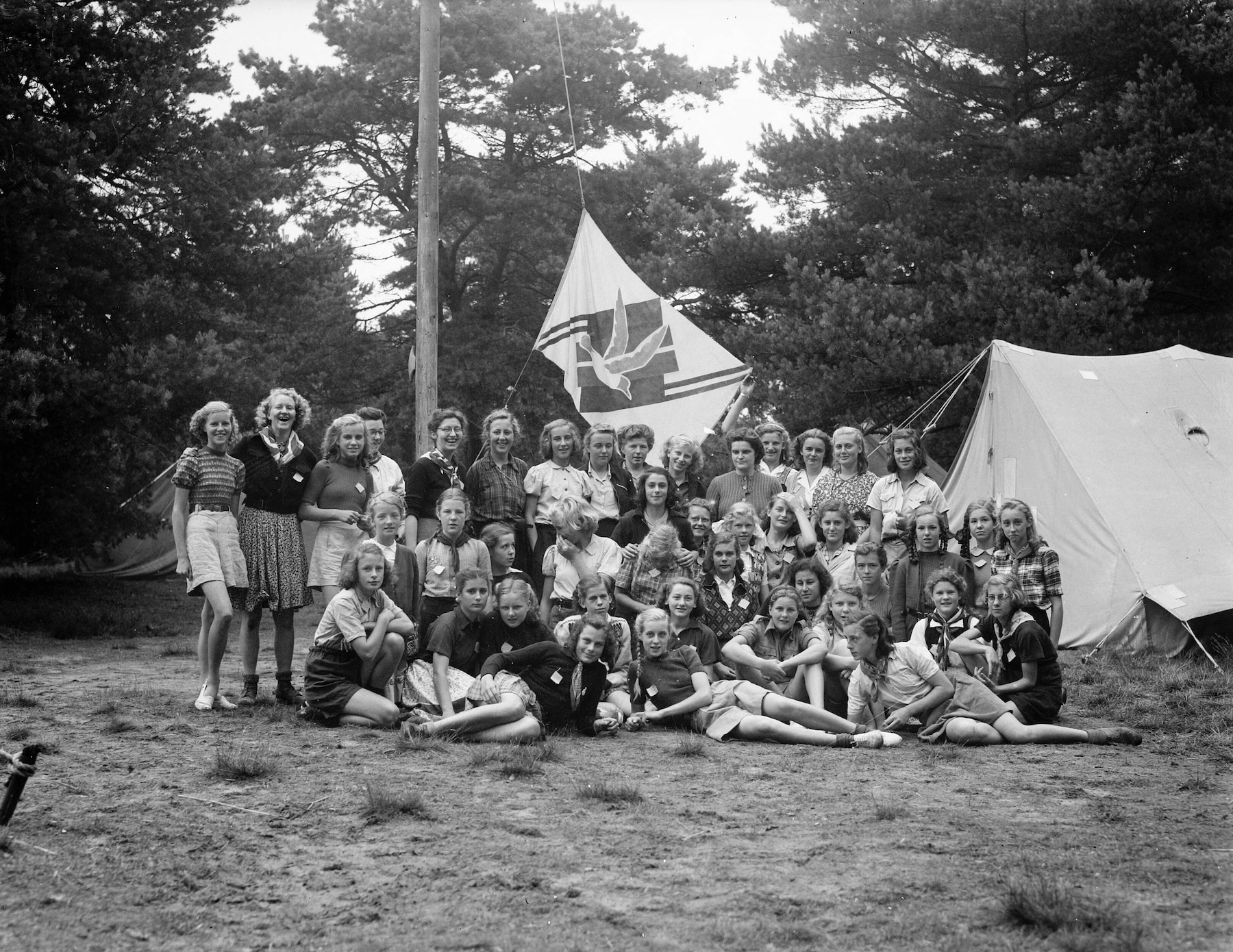 Leuke leestip: 'Groeten uit Drenthe' | Noorderland